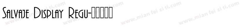 Salvaje Display Regu字体转换